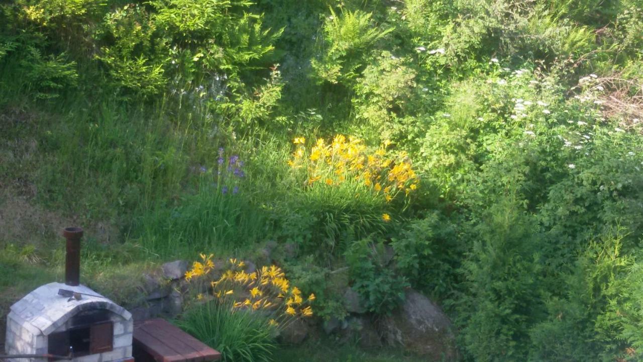 Apartamenty Grosik Krynica-Zdrój Exteriör bild